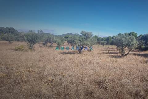 ANG1195 - Terreno para Venda em Alcanena, Santarém