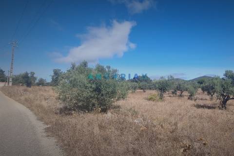 ANG1195 - Terreno para Venda em Alcanena, Santarém