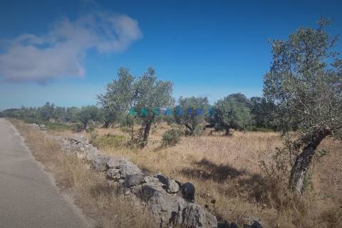 ANG1195 - Terreno para Venda em Alcanena, Santarém