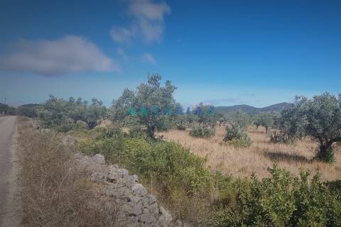 ANG1195 - Terreno para Venda em Alcanena, Santarém