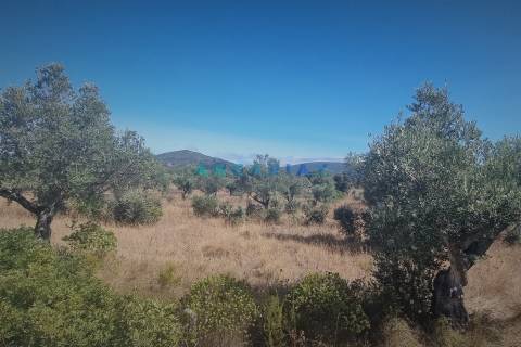 ANG1195 - Terreno para Venda em Alcanena, Santarém