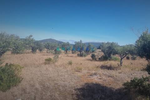 ANG1195 - Terreno para Venda em Alcanena, Santarém