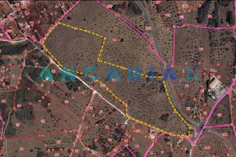 ANG1195 - Terreno para Venda em Alcanena, Santarém