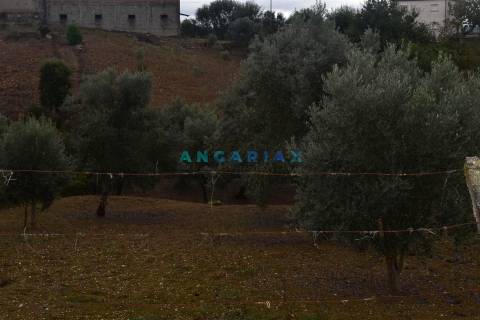 ANG1220 - Terreno para Venda em Atalaia, Pedrógão Grande