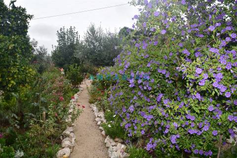 ANG1221 - Moradia T5 para Venda em Atalaia, Pedrógão Grande