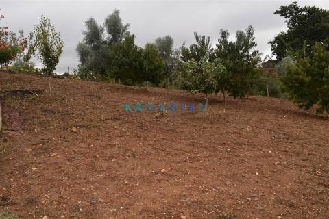 ANG1221 - Moradia T5 para Venda em Atalaia, Pedrógão Grande