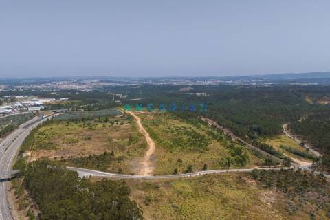 ANG380 - Terreno 42.5ha para Venda em Barosa