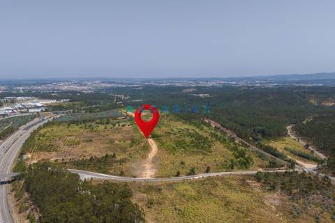 ANG380 - Terreno 42.5ha para Venda em Barosa