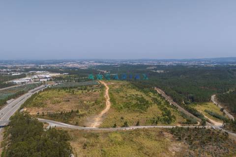 ANG380 - Terreno 42.5ha para Venda em Barosa