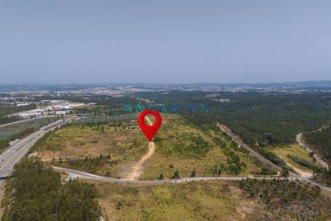 ANG380 - Terreno 42.5ha para Venda em Barosa