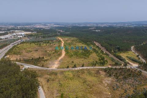 ANG380 - Terreno 42.5ha para Venda em Barosa
