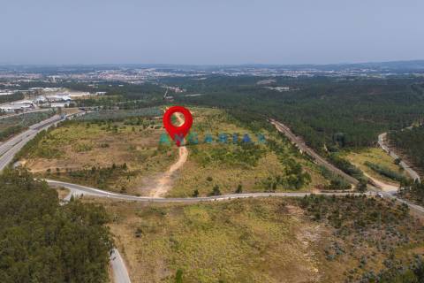 ANG380 - Terreno 42.5ha para Venda em Barosa