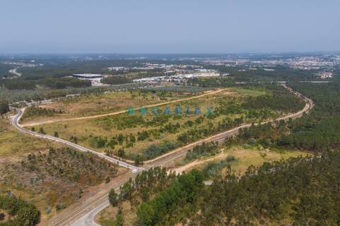 ANG380 - Terreno 42.5ha para Venda em Barosa