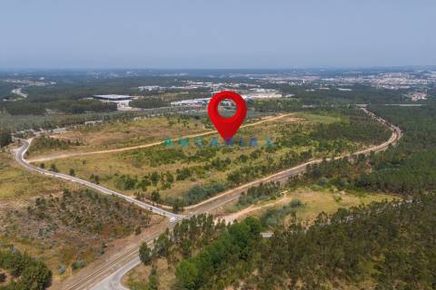 ANG380 - Terreno 42.5ha para Venda em Barosa