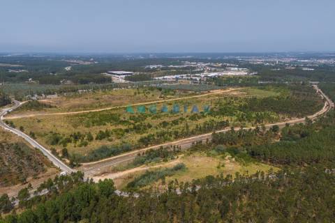 ANG380 - Terreno 42.5ha para Venda em Barosa