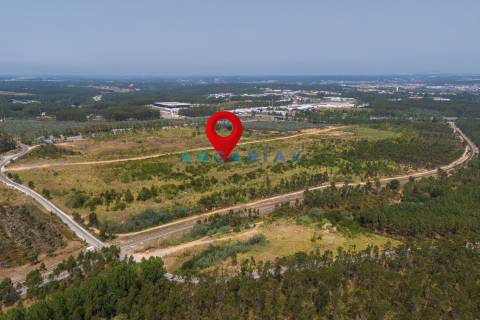 ANG380 - Terreno 42.5ha para Venda em Barosa