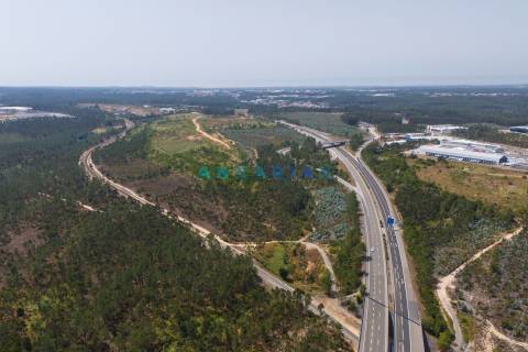 ANG380 - Terreno 42.5ha para Venda em Barosa