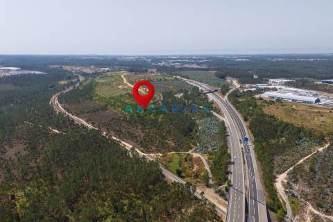 ANG380 - Terreno 42.5ha para Venda em Barosa