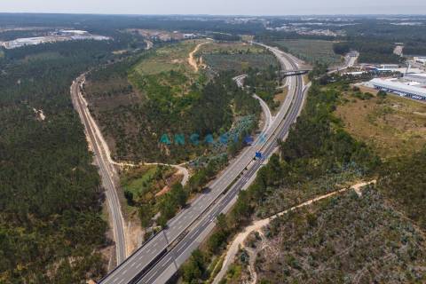 ANG380 - Terreno 42.5ha para Venda em Barosa