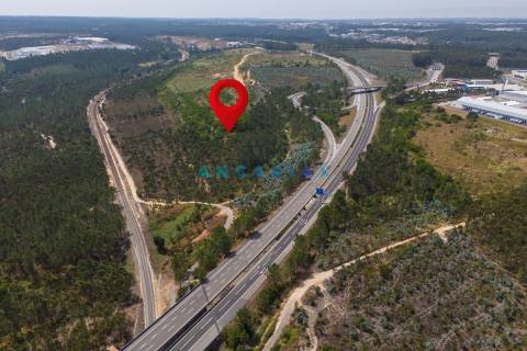 ANG380 - Terreno 42.5ha para Venda em Barosa