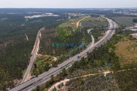 ANG380 - Terreno 42.5ha para Venda em Barosa
