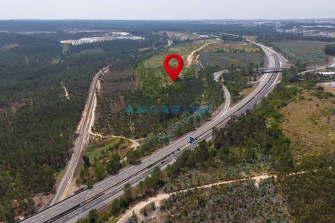 ANG380 - Terreno 42.5ha para Venda em Barosa