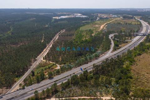 ANG380 - Terreno 42.5ha para Venda em Barosa