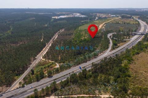 ANG380 - Terreno 42.5ha para Venda em Barosa