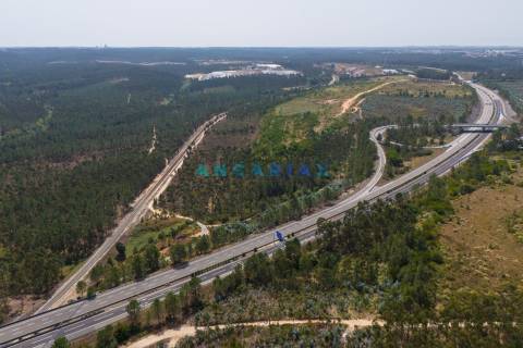 ANG380 - Terreno 42.5ha para Venda em Barosa