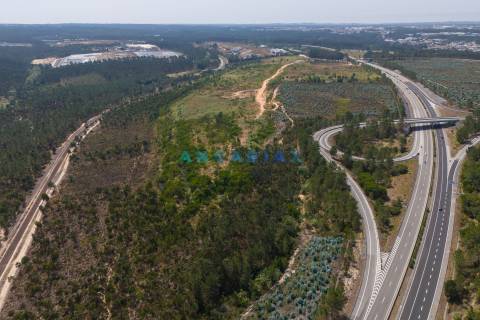 ANG380 - Terreno 42.5ha para Venda em Barosa