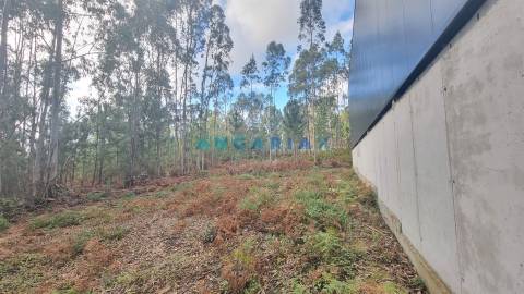 ANG1235 - Terreno para Venda em Leiria