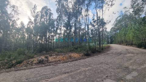 ANG1235 - Terreno para Venda em Leiria