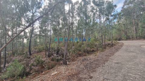 ANG1235 - Terreno para Venda em Leiria