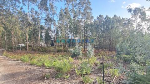 ANG1235 - Terreno para Venda em Leiria