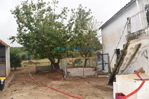 ANG1236 - Moradia T3 para Venda em Bairradas, Figueiró dos vinhos