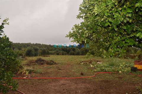 ANG1236 - Moradia T3 para Venda em Bairradas, Figueiró dos vinhos