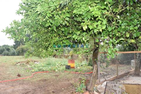 ANG1236 - Moradia T3 para Venda em Bairradas, Figueiró dos vinhos