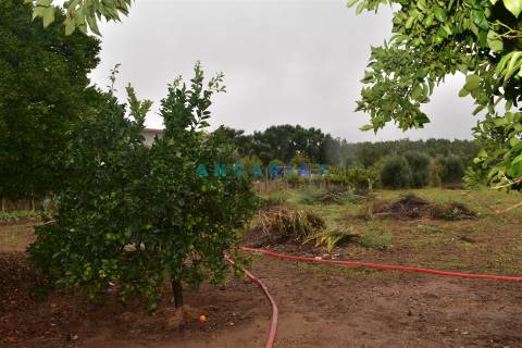 ANG1236 - Moradia T3 para Venda em Bairradas, Figueiró dos vinhos