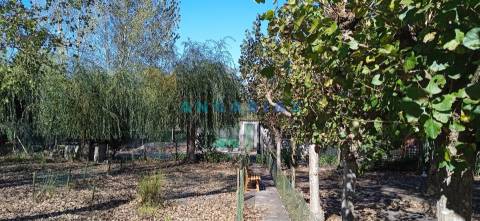 ANG1239 - Herdade para Venda em Vieira de Leiria
