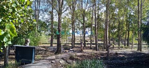 ANG1239 - Herdade para Venda em Vieira de Leiria