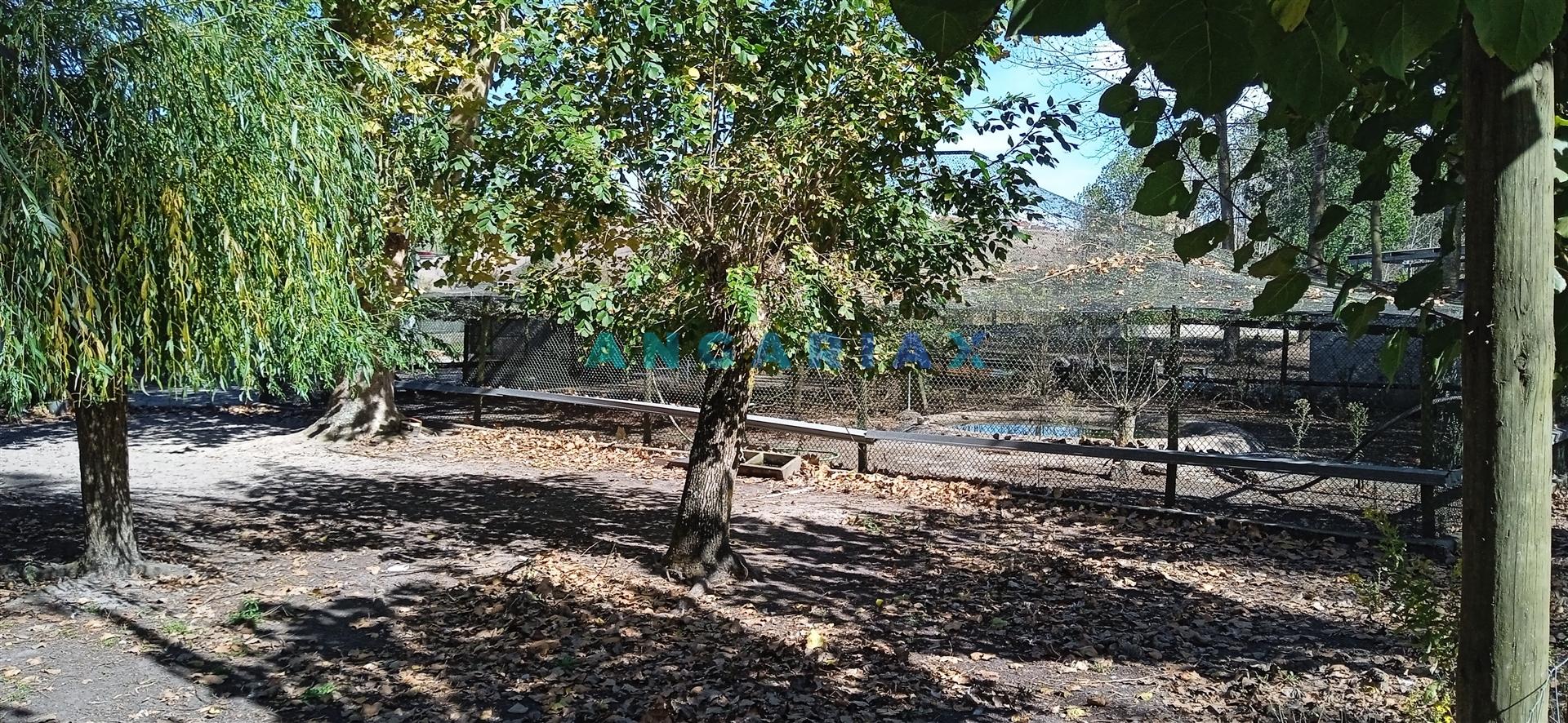 ANG1239 - Herdade para Venda em Vieira de Leiria