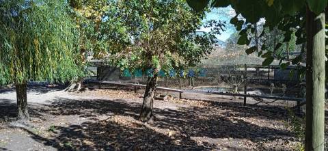 ANG1239 - Herdade para Venda em Vieira de Leiria