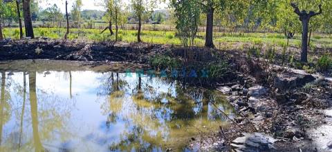 ANG1239 - Herdade para Venda em Vieira de Leiria