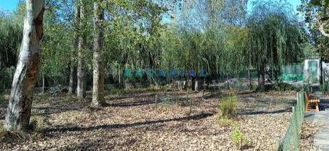 ANG1239 - Herdade para Venda em Vieira de Leiria