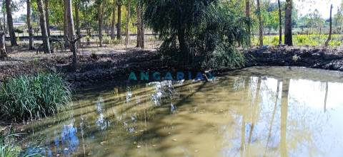 ANG1239 - Herdade para Venda em Vieira de Leiria