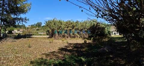 ANG1239 - Herdade para Venda em Vieira de Leiria