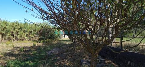 ANG1239 - Herdade para Venda em Vieira de Leiria