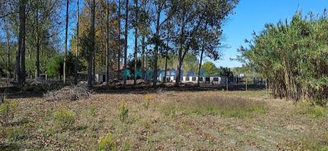 ANG1239 - Herdade para Venda em Vieira de Leiria