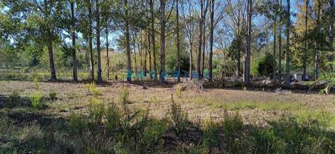 ANG1239 - Herdade para Venda em Vieira de Leiria