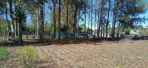 ANG1239 - Herdade para Venda em Vieira de Leiria